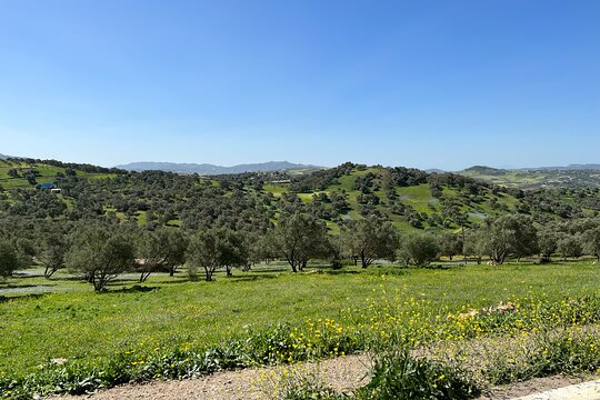 Tour image 13